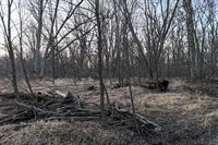 46 Acres Highway 80, Wisconsin Rapids, WI 54457