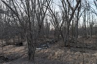 46 Acres Highway 80, Wisconsin Rapids, WI 54457