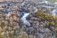 46 Acres Highway 80, Wisconsin Rapids, WI 54457
