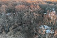 46 Acres Highway 80, Wisconsin Rapids, WI 54457