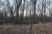 46 Acres Highway 80, Wisconsin Rapids, WI 54457