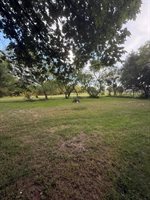 201 West Avenue W, San Angelo, TX 76903