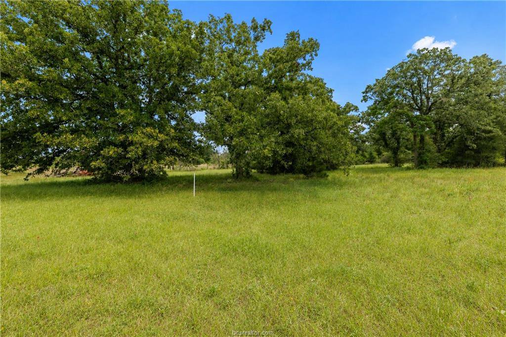 3508 Dick Barnes Loop, Bedias, TX 77831