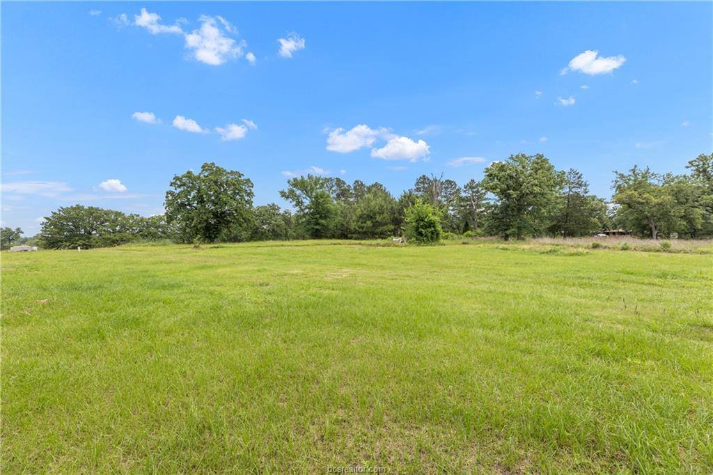 3508 Dick Barnes Loop, Bedias, TX 77831