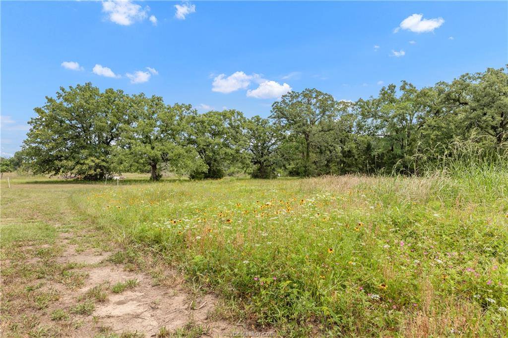 3508 Dick Barnes Loop, Bedias, TX 77831