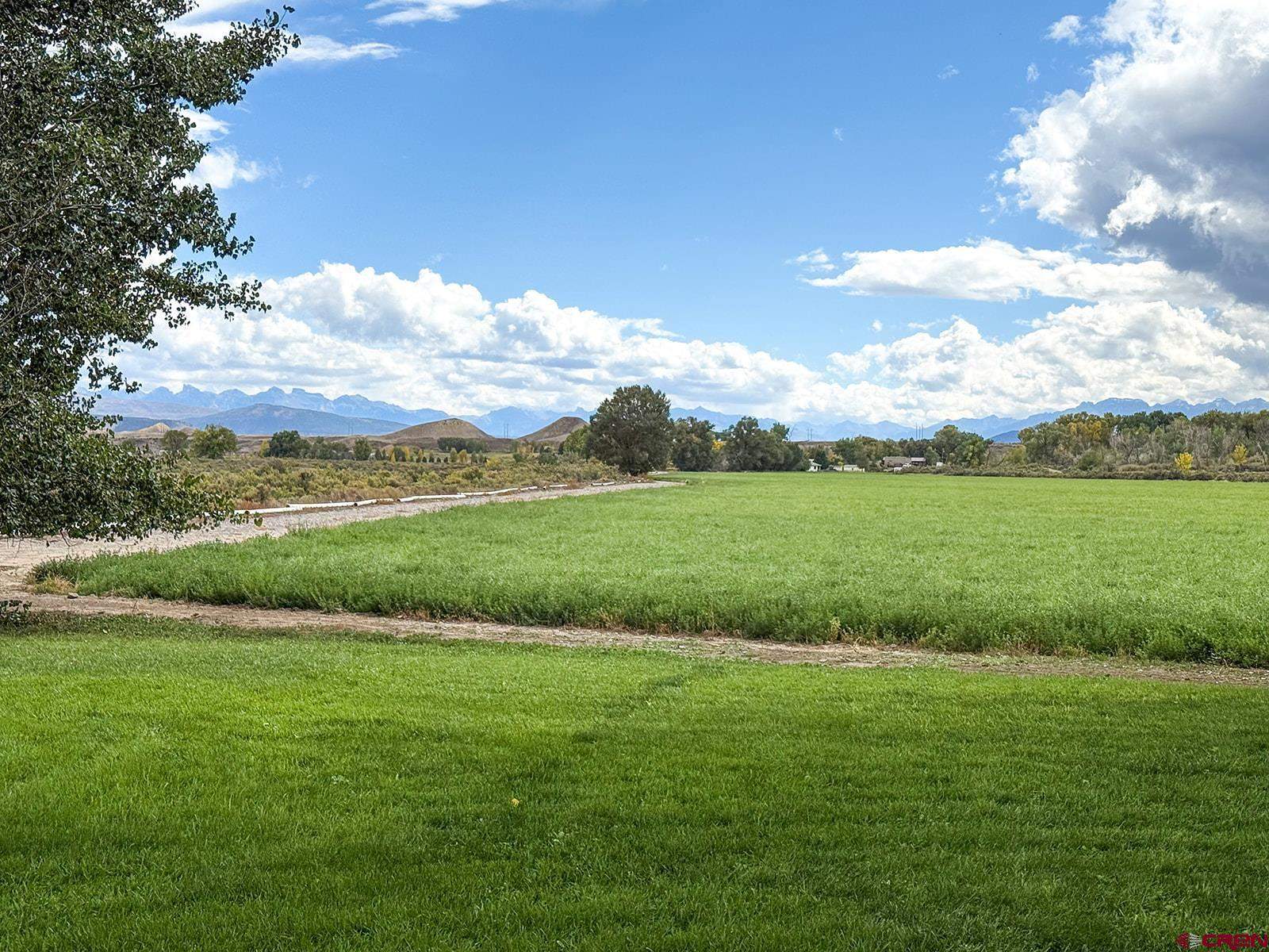 66356 Otter Road, Montrose, CO 81403