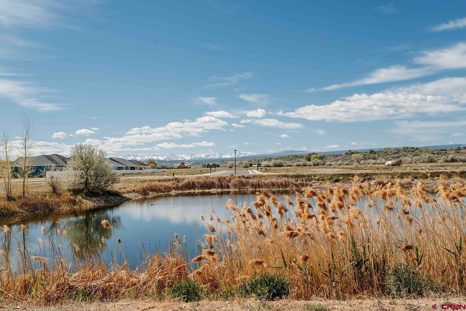 712 Carbonero Avenue, Montrose, CO 81403