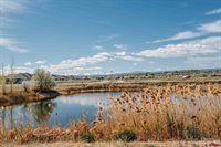712 Carbonero Avenue, Montrose, CO 81403