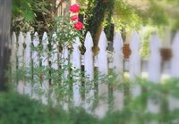 313 Yeardley Avenue, Lynchburg, VA 24501