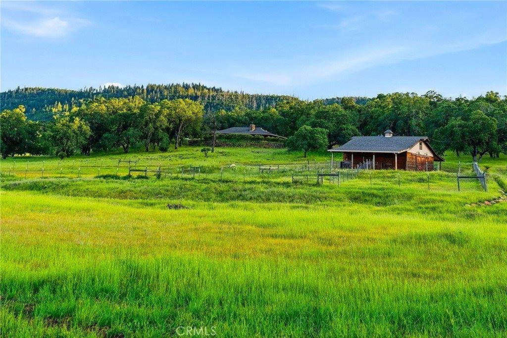 17205 Black Oak Hill, Middletown, CA 95461