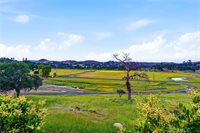 17205 Black Oak Hill, Middletown, CA 95461