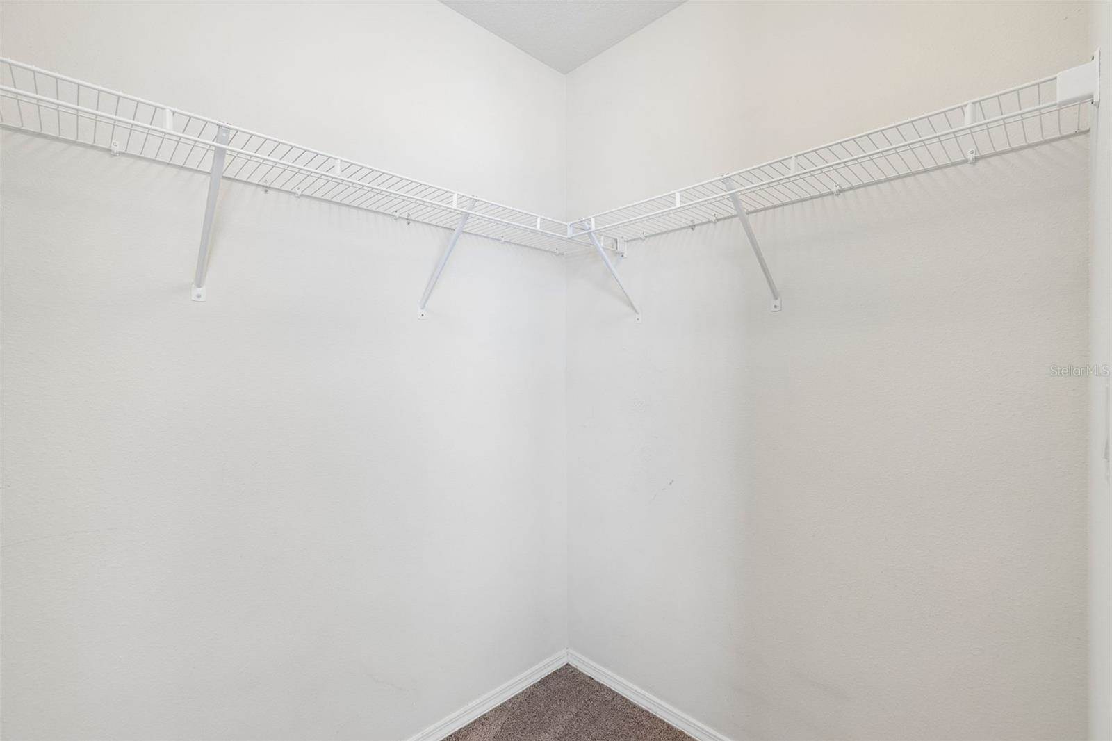 4768 White Sanderling Court, Tampa, FL 33619