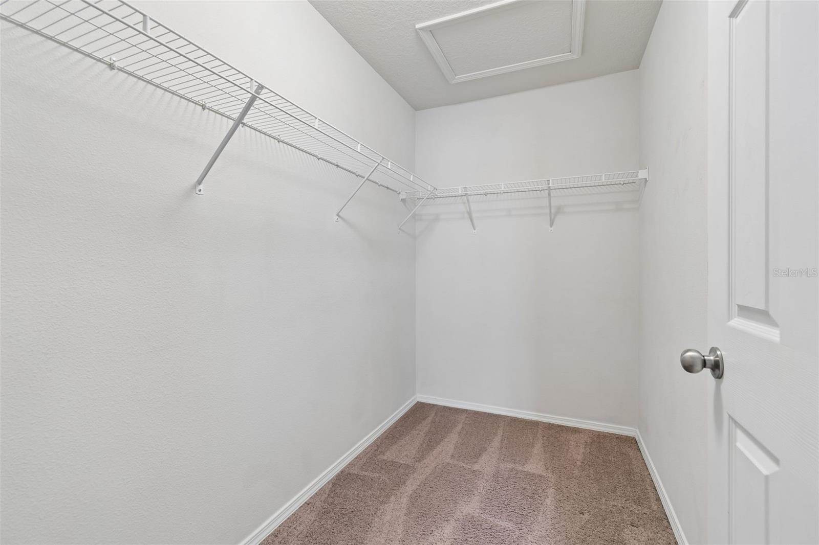 4768 White Sanderling Court, Tampa, FL 33619