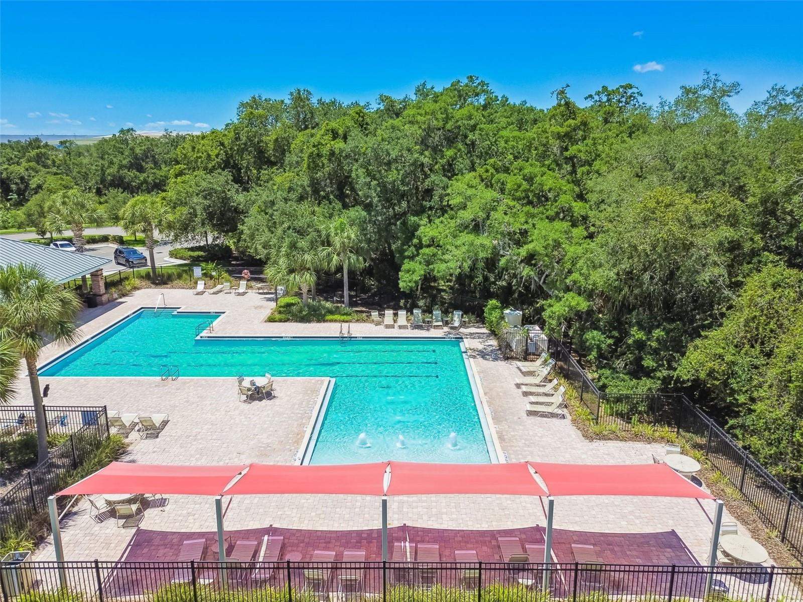 4768 White Sanderling Court, Tampa, FL 33619