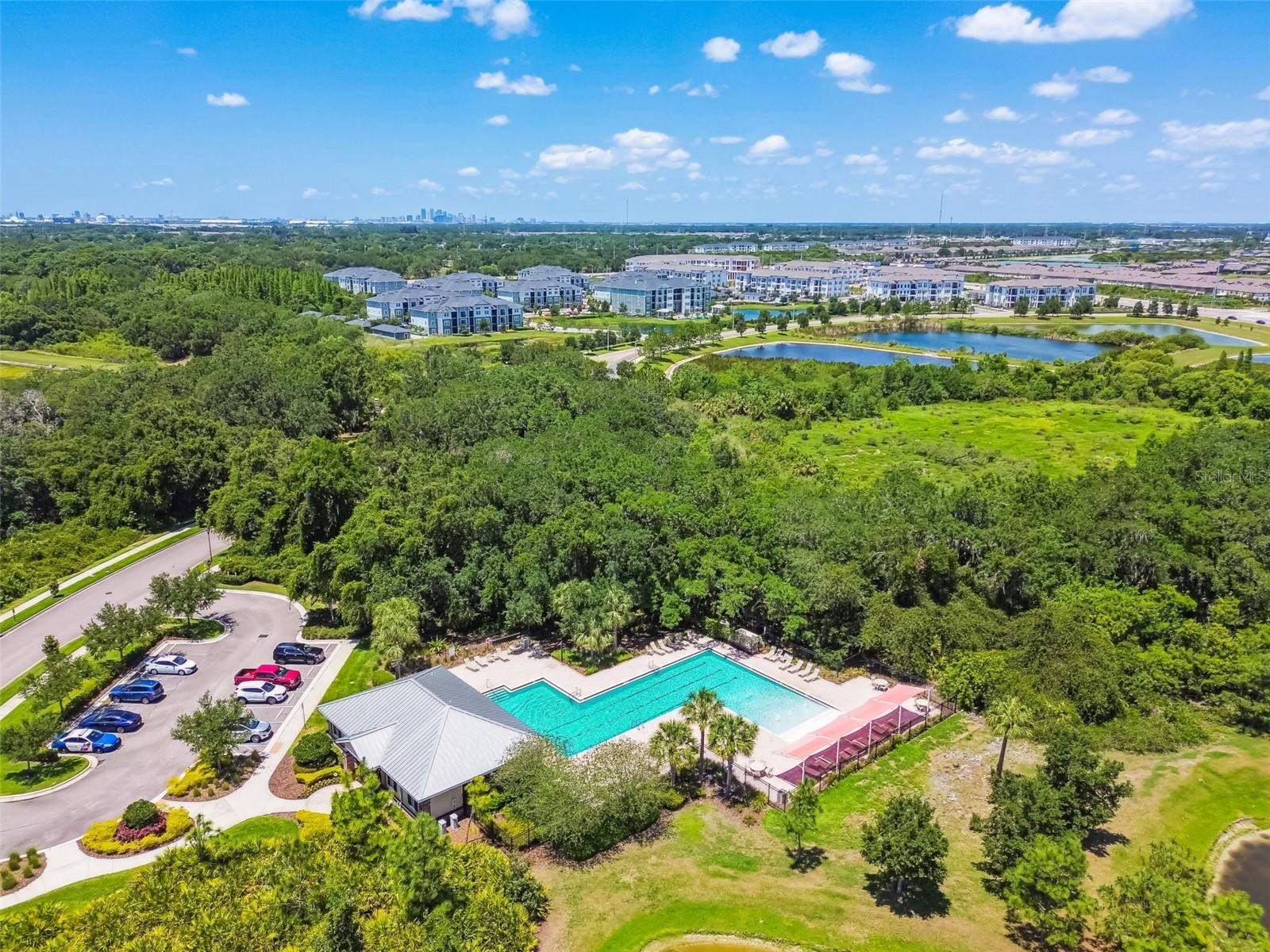 4768 White Sanderling Court, Tampa, FL 33619