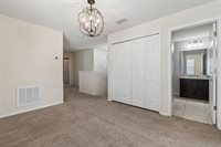 4768 White Sanderling Court, Tampa, FL 33619