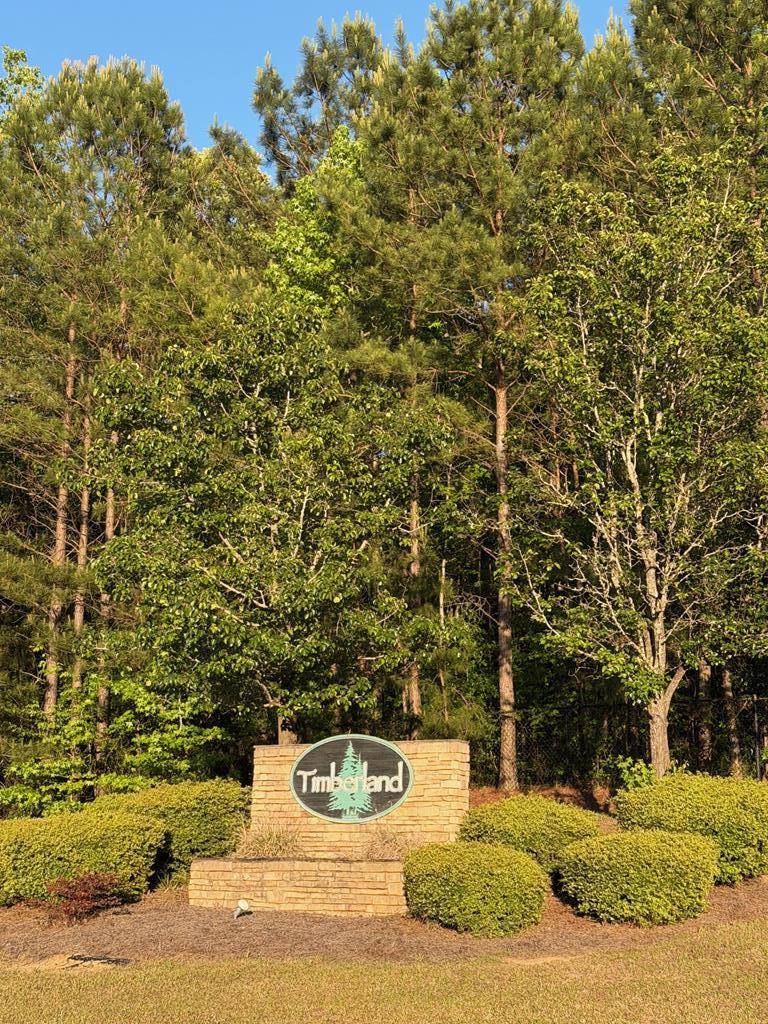 28 West Teddy Bear Lane, Waverly Hall, GA 31831