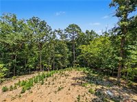 44 Berkshire Drive, Bella Vista, AR 72714
