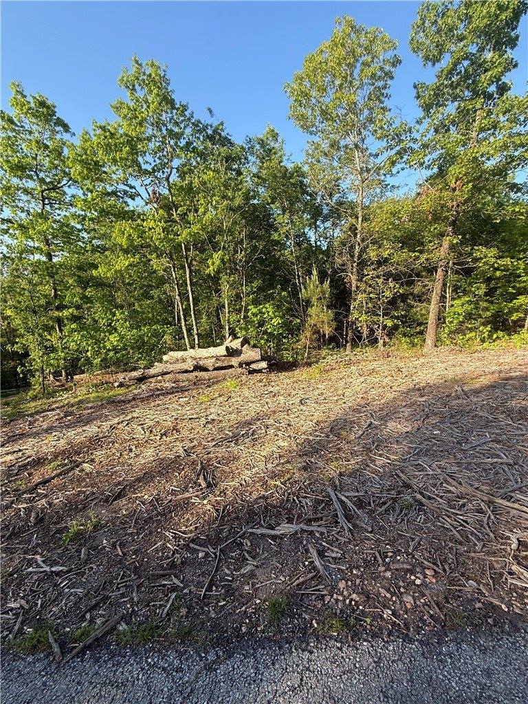 Arbroath Lane, Bella Vista, AR 72715