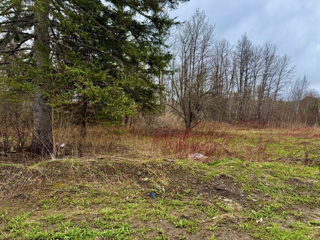 12 Elliott Road, Westfield, ME 04787