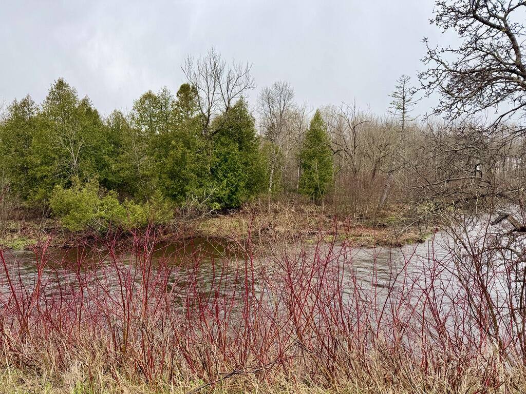 12 Elliott Road, Westfield, ME 04787