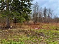 12 Elliott Road, Westfield, ME 04787