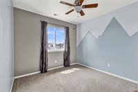 421 Indiangrass Loop, Montrose, CO 81403