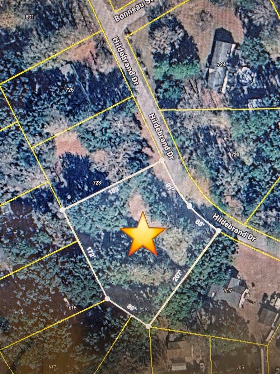 721 Hildebrand Drive, Bonneau, SC 29431