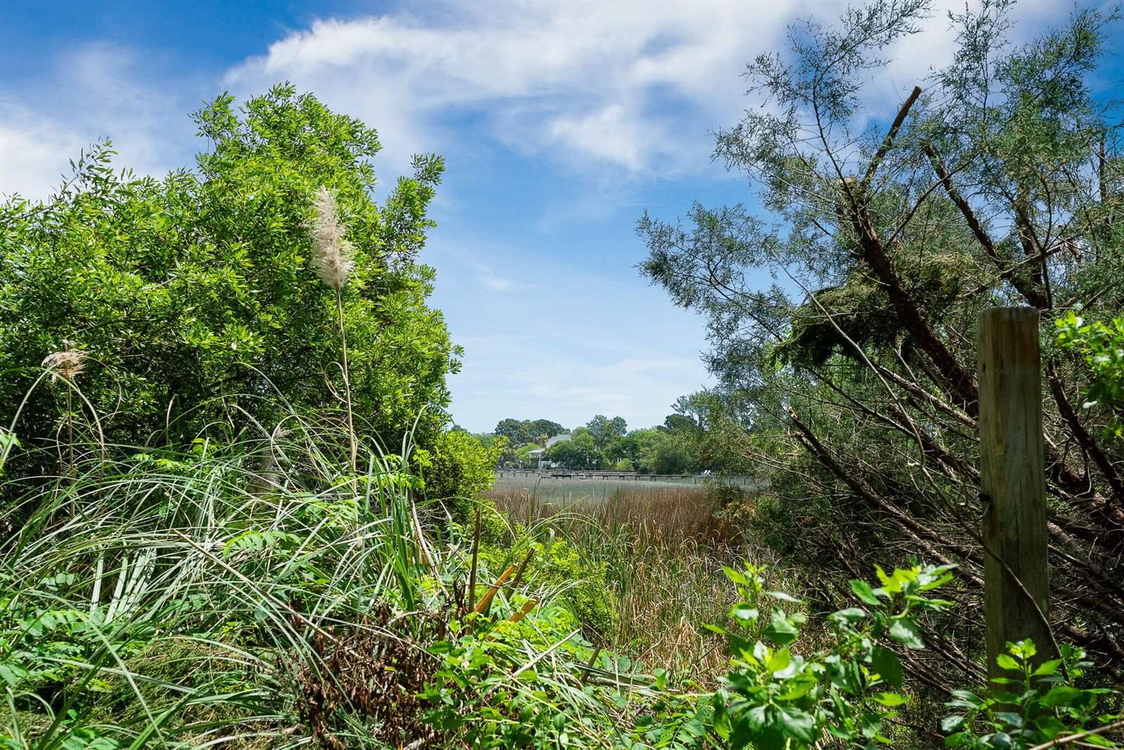 1471 Battery Brown Court, Charleston, SC 29412