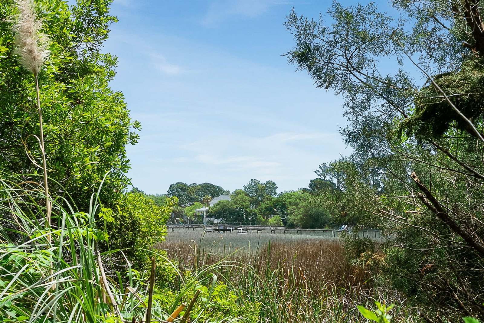 1471 Battery Brown Court, Charleston, SC 29412