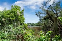 1471 Battery Brown Court, Charleston, SC 29412