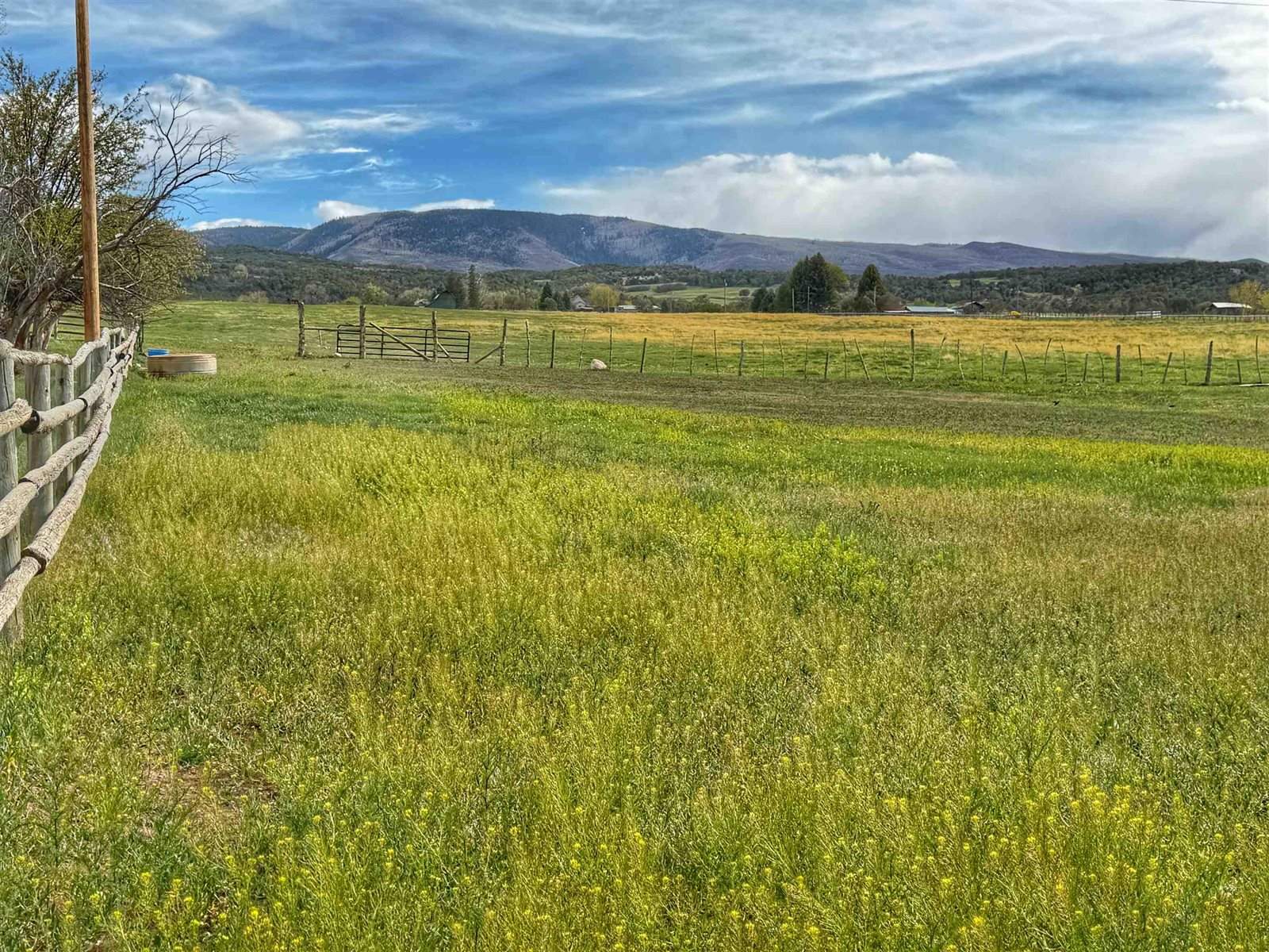 11260 54 7/10 Road, Molina, CO 81645