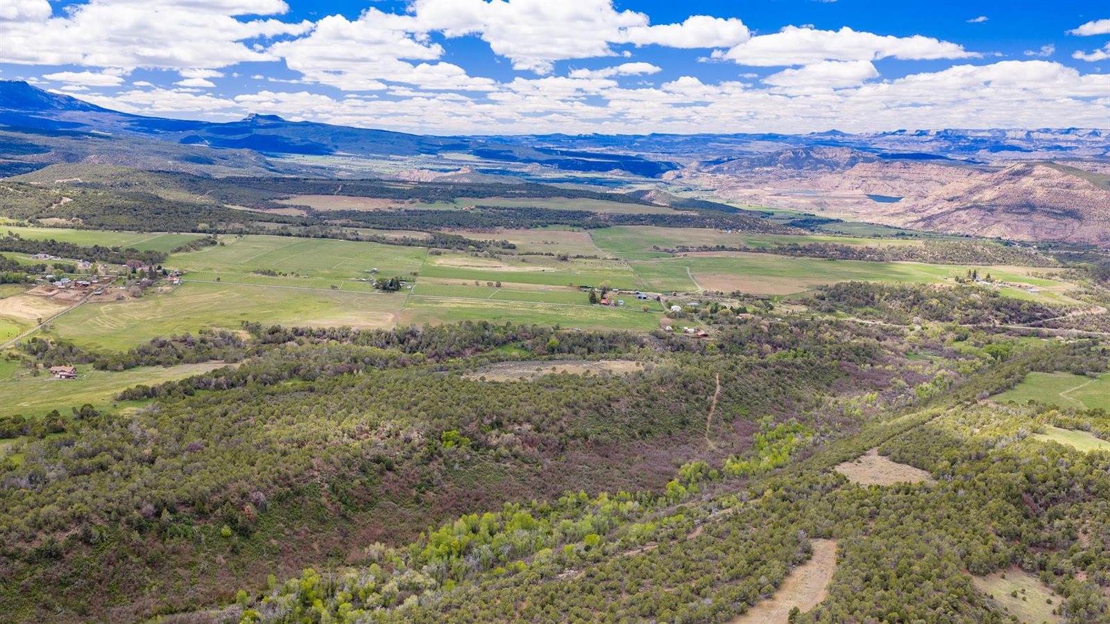 11260 54 7/10 Road, Molina, CO 81645