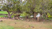 11260 54 7/10 Road, Molina, CO 81645