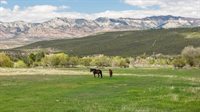 11260 54 7/10 Road, Molina, CO 81645