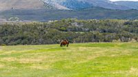 11260 54 7/10 Road, Molina, CO 81645