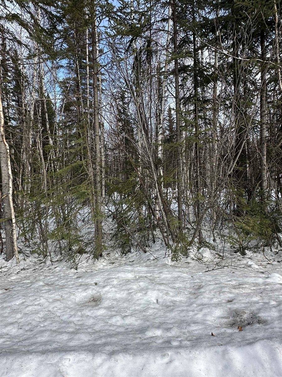 1642 Woll Road, North Pole, AK 99705