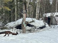 1642 Woll Road, North Pole, AK 99705