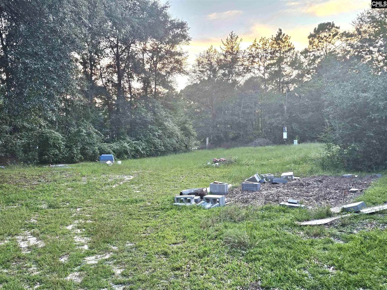 4412 Festival Trail, Wagener, SC 29164