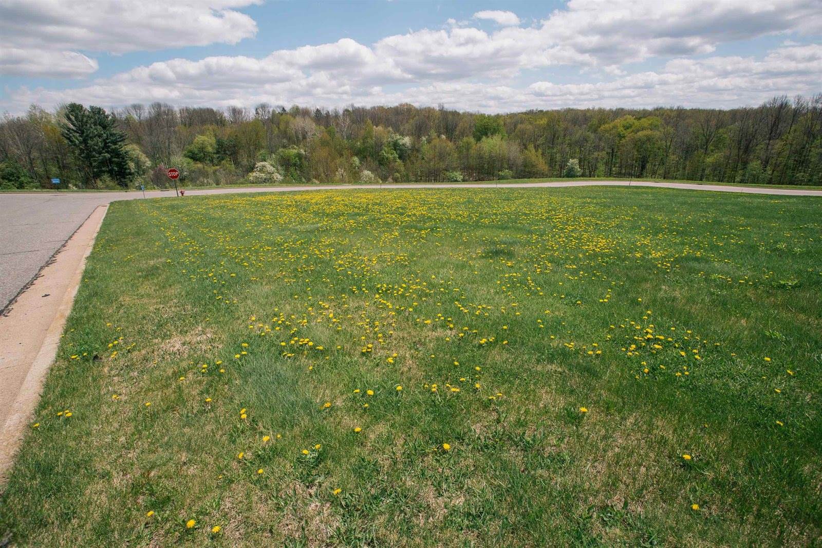 Lot 8 LUCILLE LANE, Neillsville, WI 54456