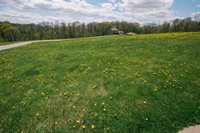 Lot 8 LUCILLE LANE, Neillsville, WI 54456