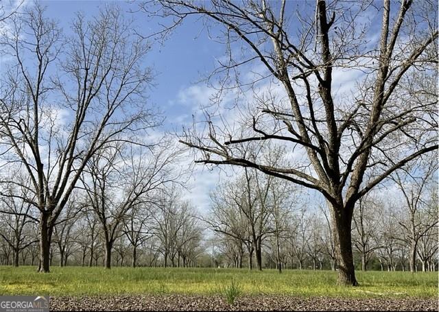 2797 Lake Lannell Road, Odum, GA 31555