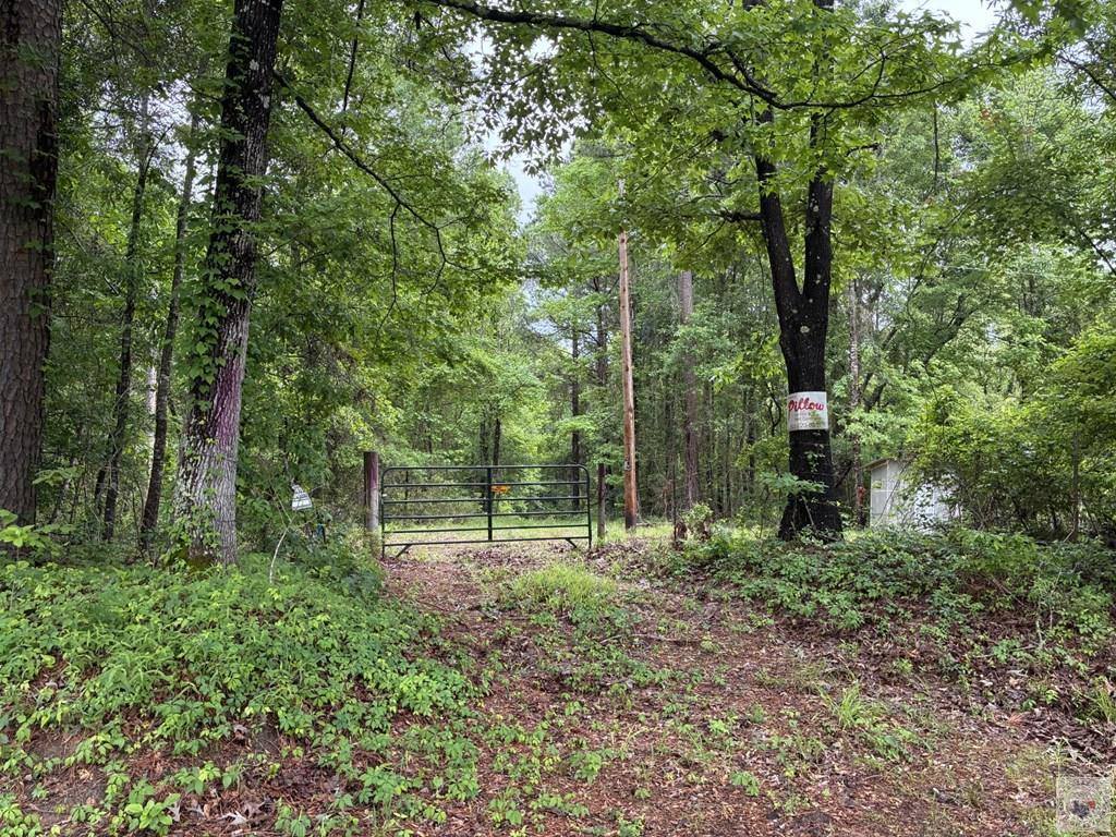 2096 MC 157, Doddridge, AR 71834