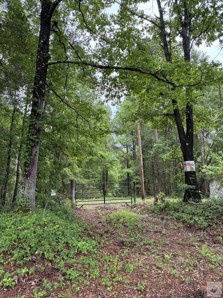 2096 MC 157, Doddridge, AR 71834