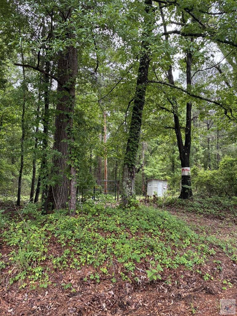 2096 MC 157, Doddridge, AR 71834