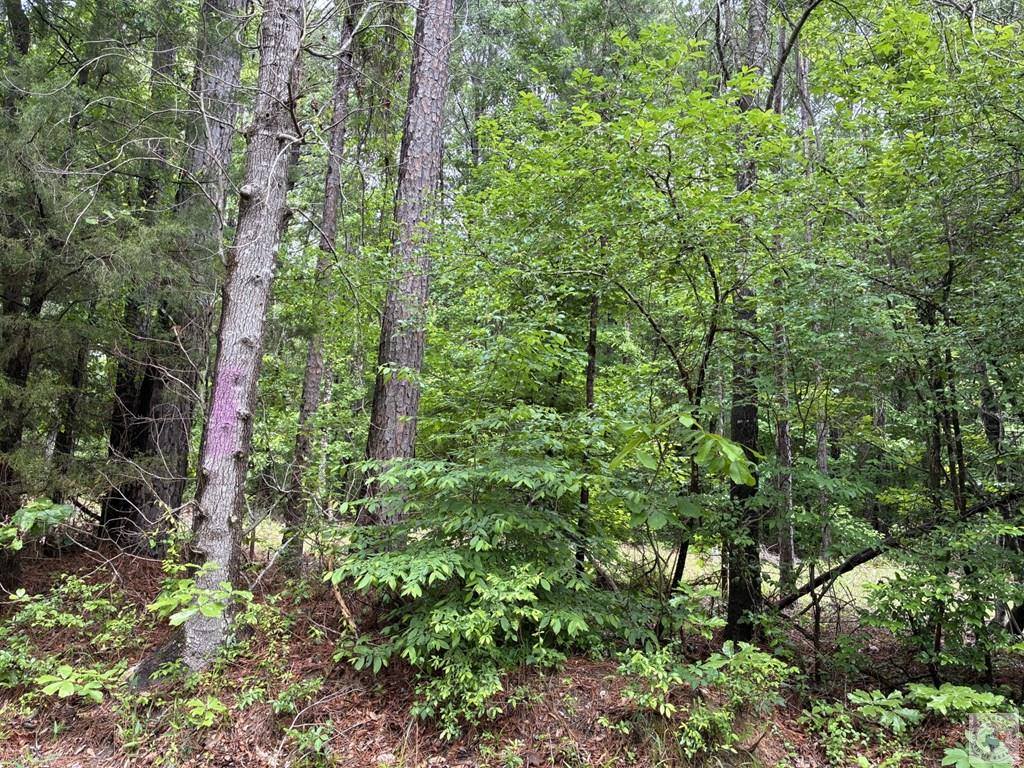 2096 MC 157, Doddridge, AR 71834