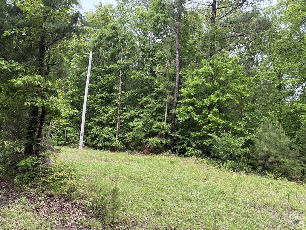 2096 MC 157, Doddridge, AR 71834