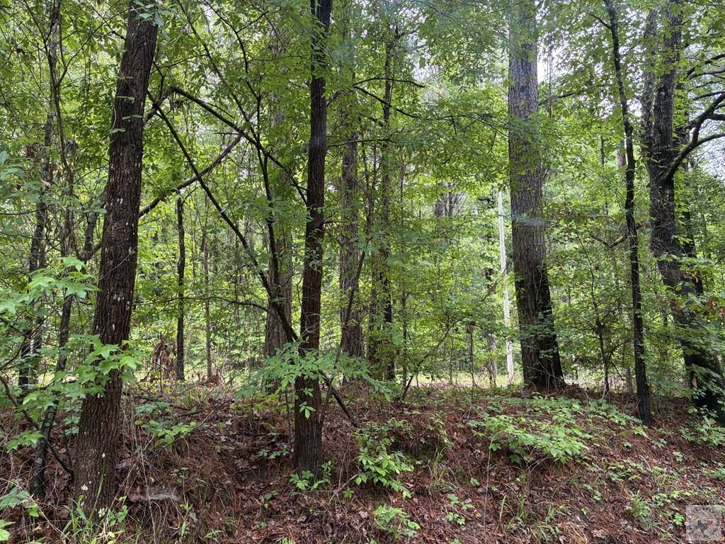 2096 MC 157, Doddridge, AR 71834