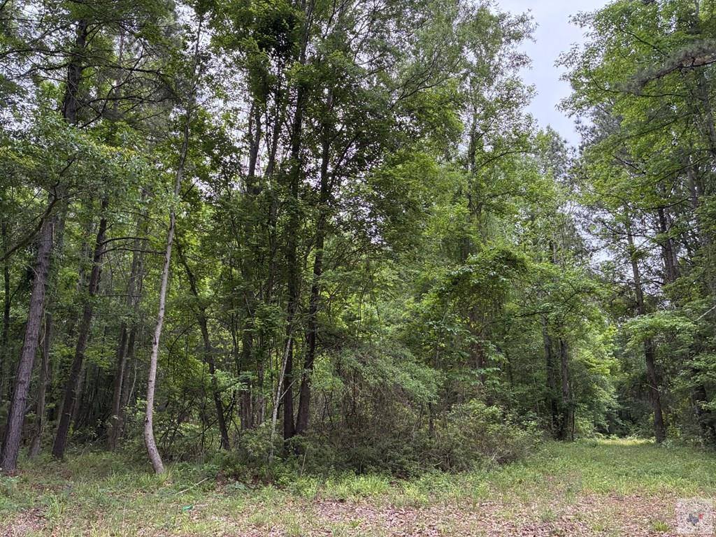 2096 MC 157, Doddridge, AR 71834