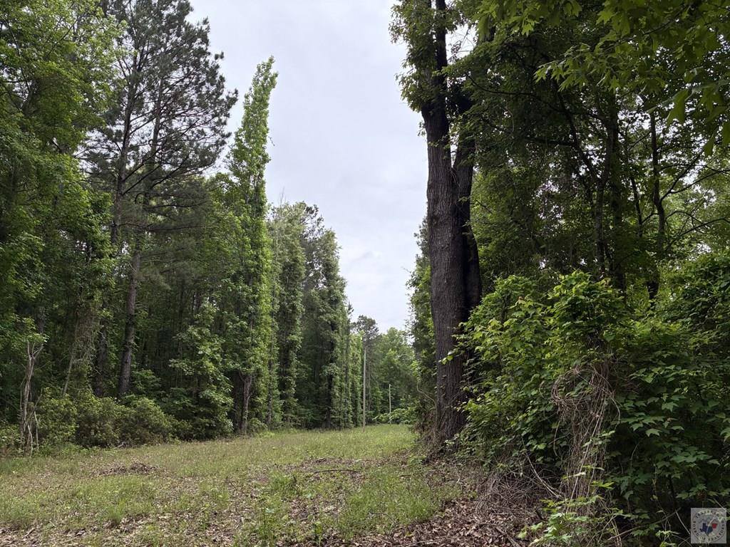 2096 MC 157, Doddridge, AR 71834
